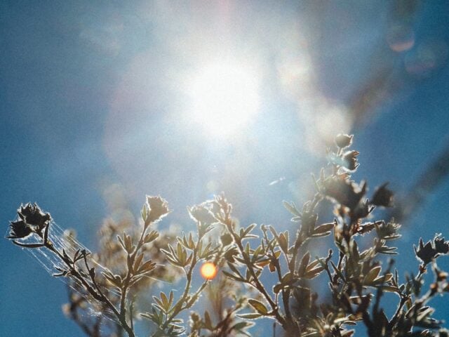 how to get rid of bloating