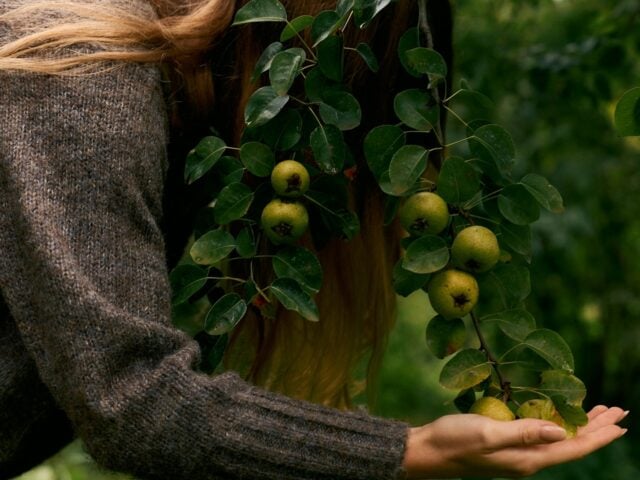 menopause weight gain