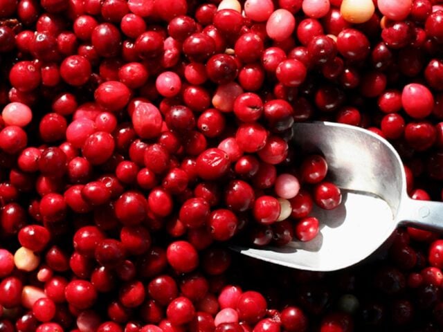 Urinary tract health supplement