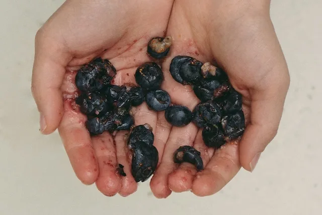 balanced diet for gut health and skin